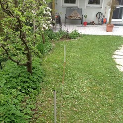 Image:Es kündigt sich was an in unserem Garten