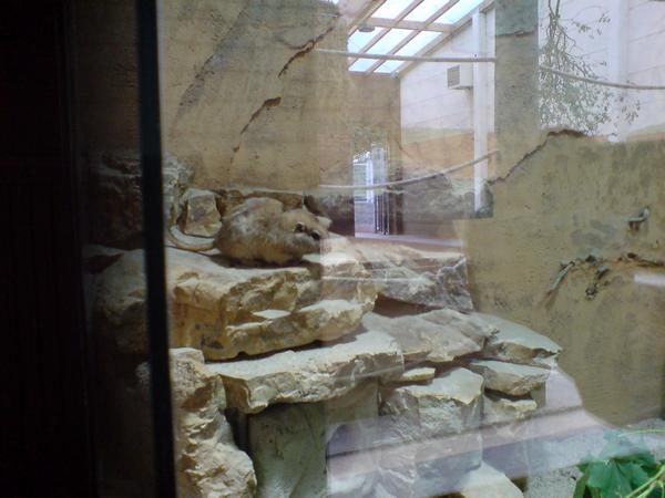 DSC02189