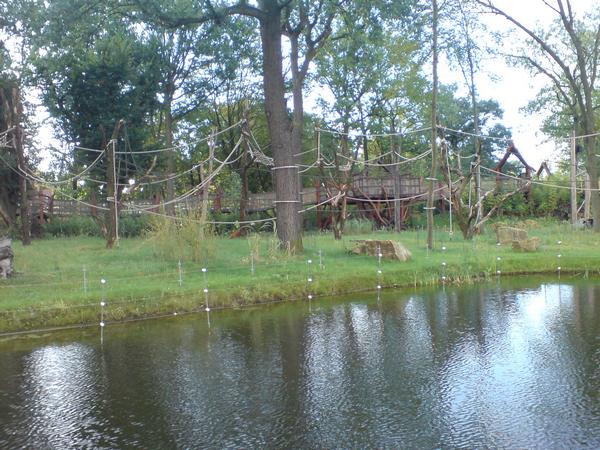 DSC02530