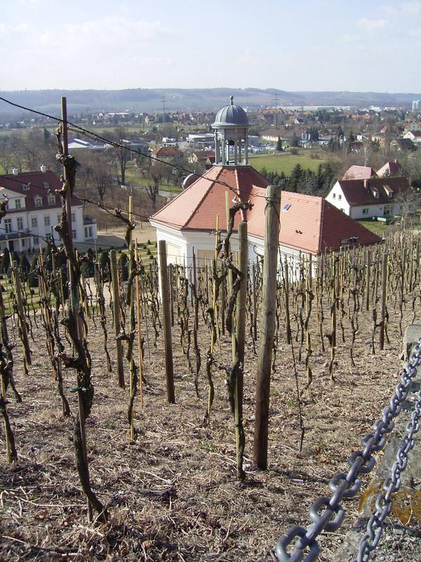 Schloss Wackerbarth 05