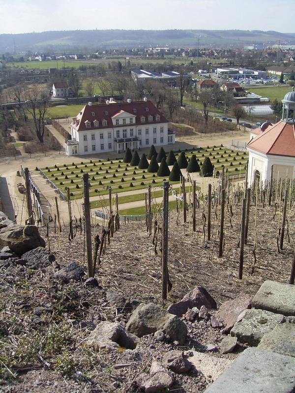 Schloss Wackerbarth 07