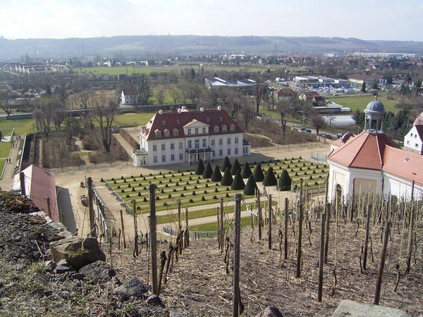 Schloss Wackerbarth 08 ............................... mit Weinberg und Blick auf Elbtal