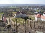 Schloss Wackerbarth 08 ............................... mit Weinberg und Blick auf Elbtal