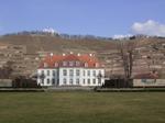 Schloss Wackerbarth 14