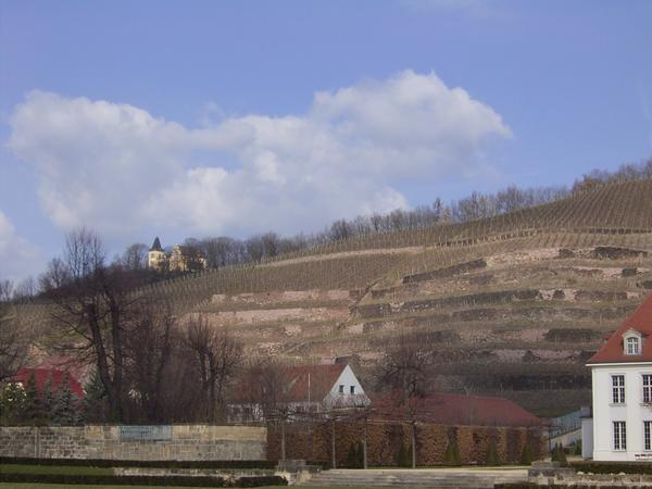 Schloss Wackerbarth 15