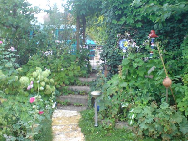 DSC02044