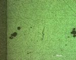 PET30GF_poliert1m_50X