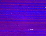 PP671 200x mitte