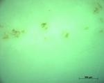 PET_GF30_geschliffen_1200K_2