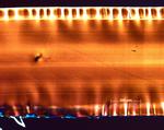 PP671_50X