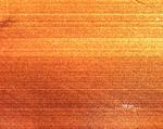 PP671_200X_mitte