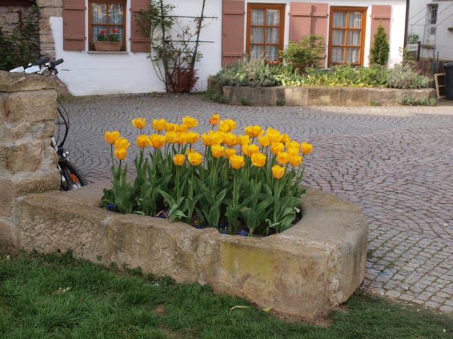 Image:Wunderbarer Kurzurlaub - Perlenhochzeit (30.Jahre)