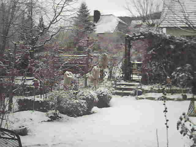 Image:Es wird Frühling