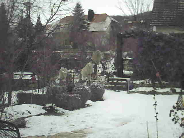 Image:Es wird Frühling