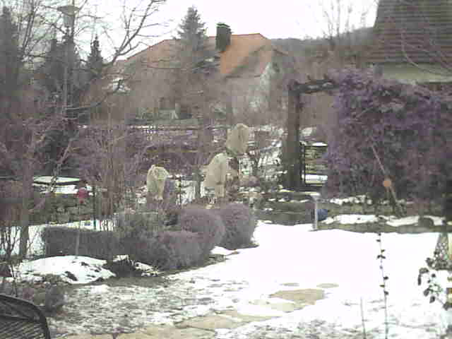 Image:Es wird Frühling