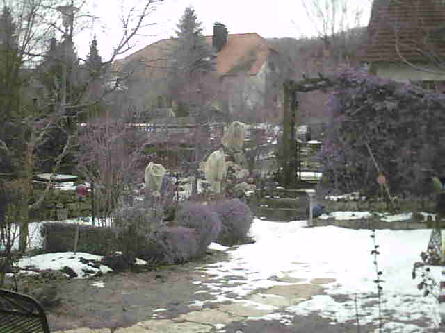 Image:Es wird Frühling