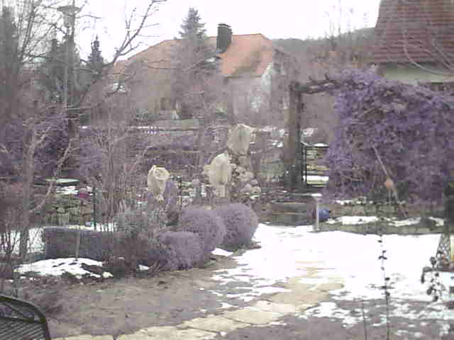 Image:Es wird Frühling