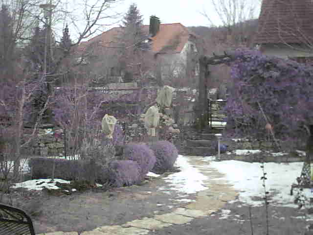 Image:Es wird Frühling